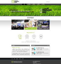 北京朝阳网站建设与网页设计 专业建站公司及推广服务全解析